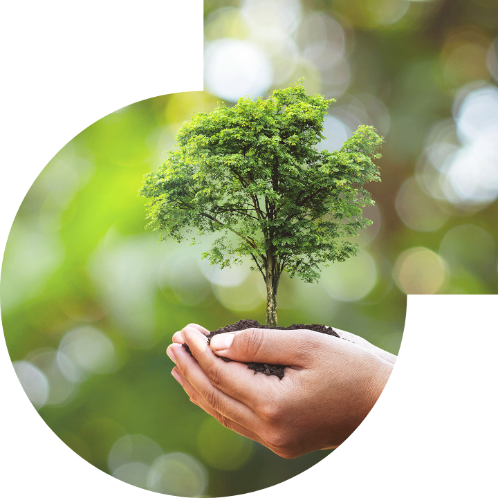 关怀人类、文化、环境与社会